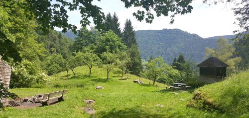 Mitten im Hochschwarzwald